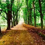 Woodleigh Отель типа 