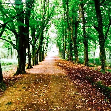 Woodleigh Отель типа 